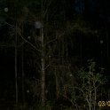 2012-Mar-03HGR4X4Richloam 234